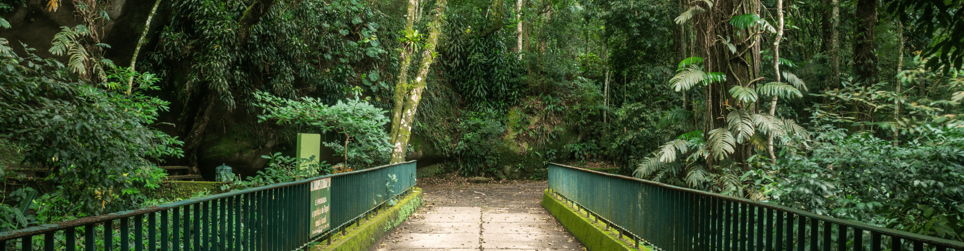 Passeio de Jeep na Floresta da Tijuca