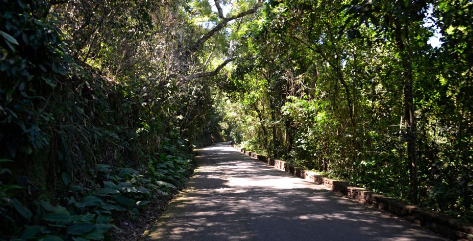 Passeio de Jeep na Floresta da Tijuca
